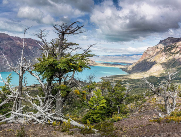 Argentina: Family Adventure