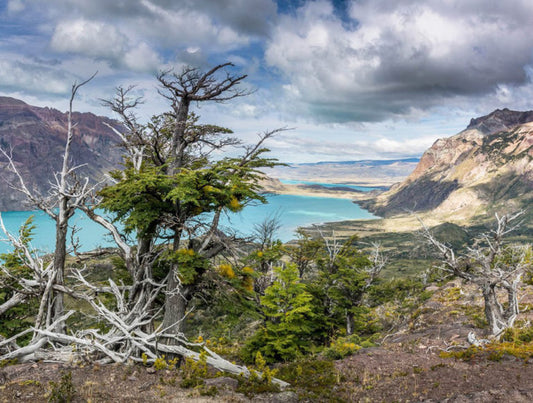 Argentina: Family Adventure