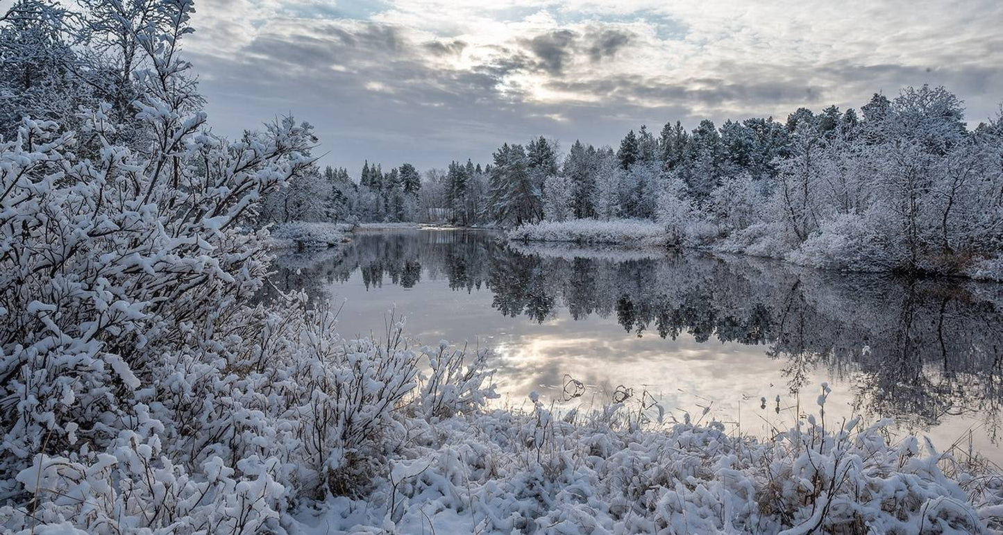 Finland Highlights & Arctic Adventure with Northern Lights & Glass Igloo