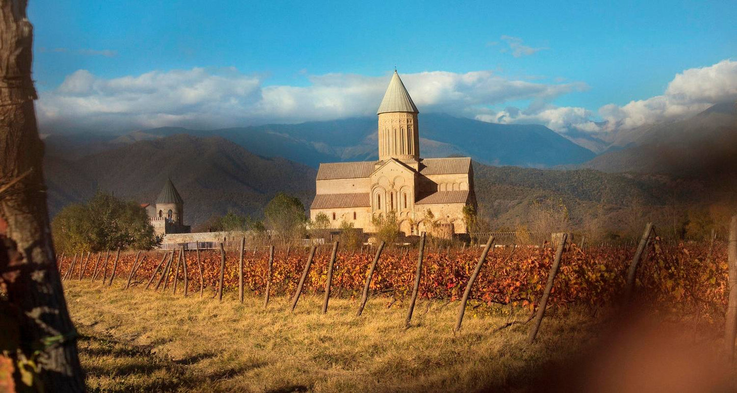 Georgia Private Tour with Driver-Guide