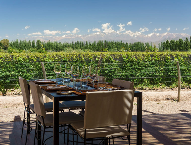 Argentina: Culture, Mountains, Nature, and Wine Country