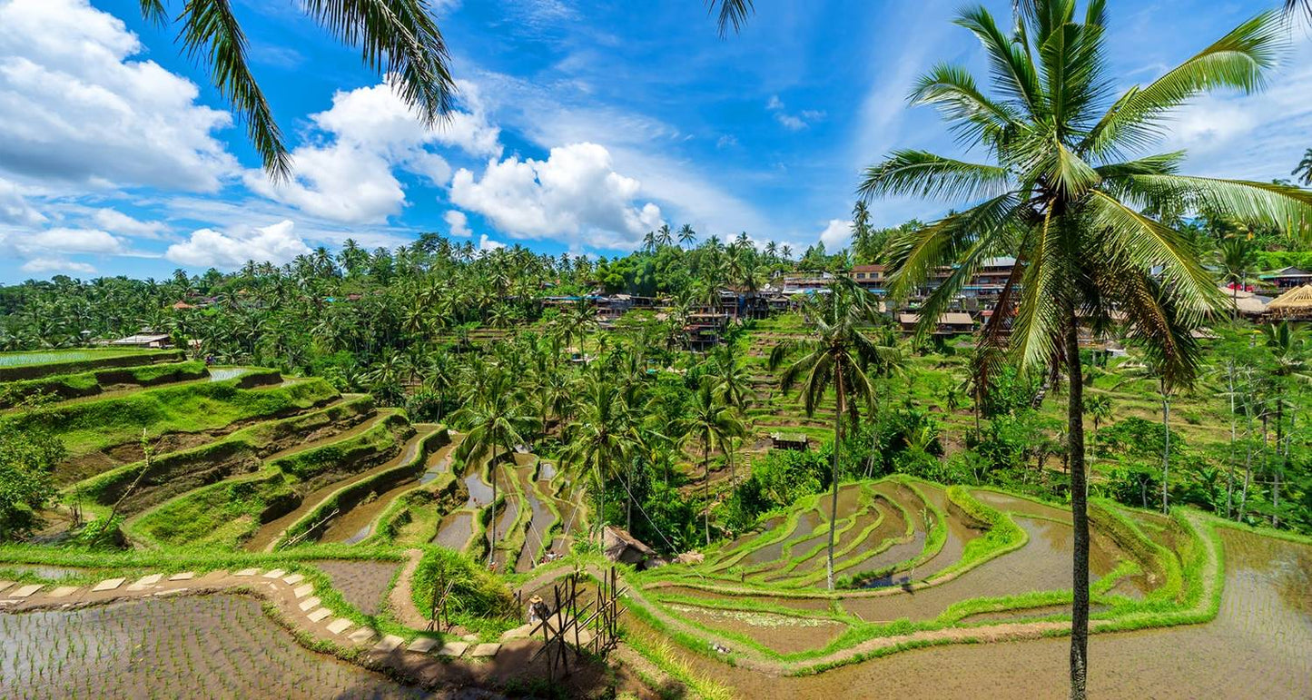 Bespoke Bliss: City Chic & Bali Retreat