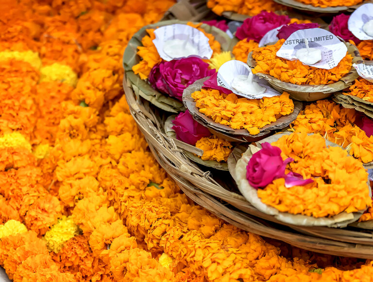 India: Ancient Traditions Legacy Tour