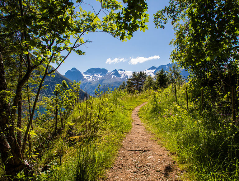 Norway: Arctic Honeymoon
