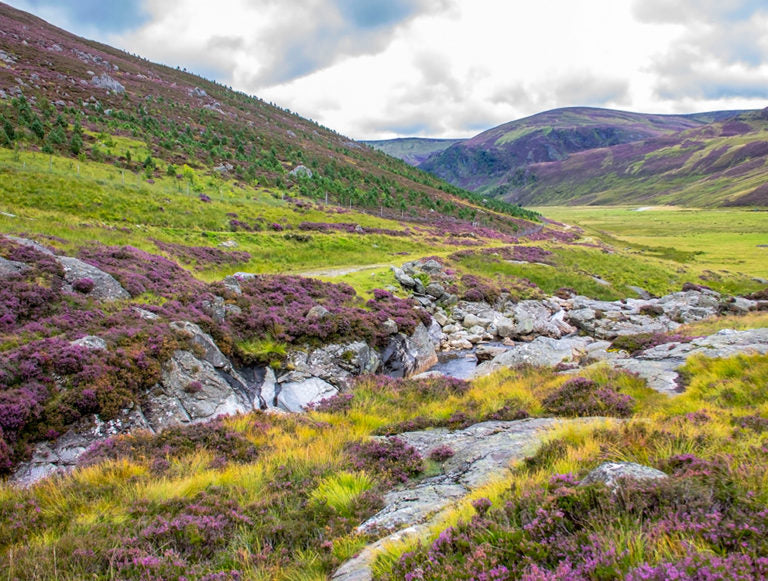 Scotland: Family Adventure