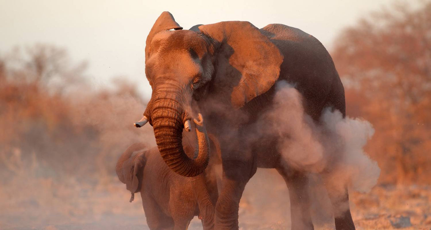 Victoria Falls to Cape Town - Camping