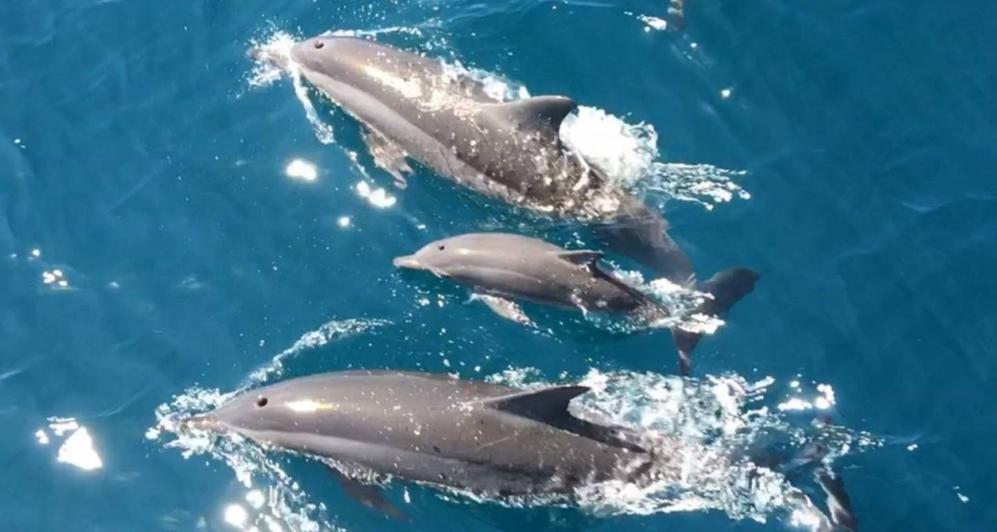 10 Days Taiwan Island Discovery(private guide and driver）Family Tour Customizable
