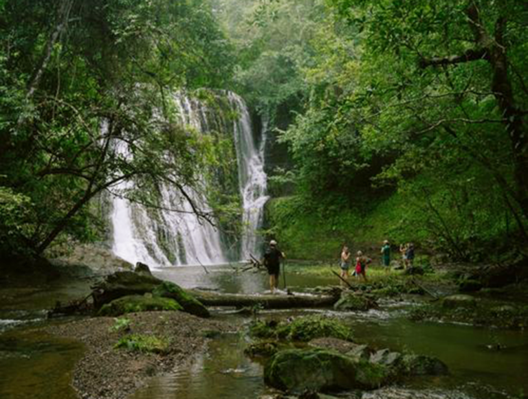 Panama: Wildlife, Waves, and Wilderness