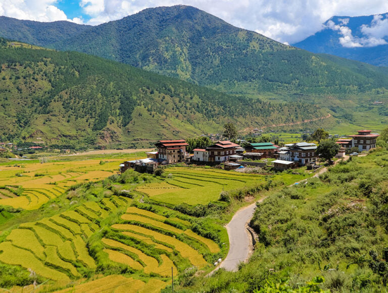 Bhutan: Fall Festival