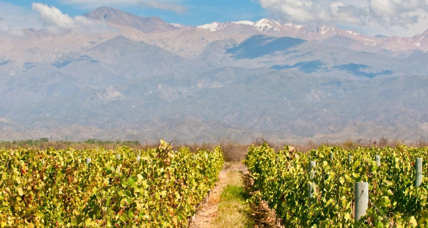 Premium Chile, Argentina & Brazil