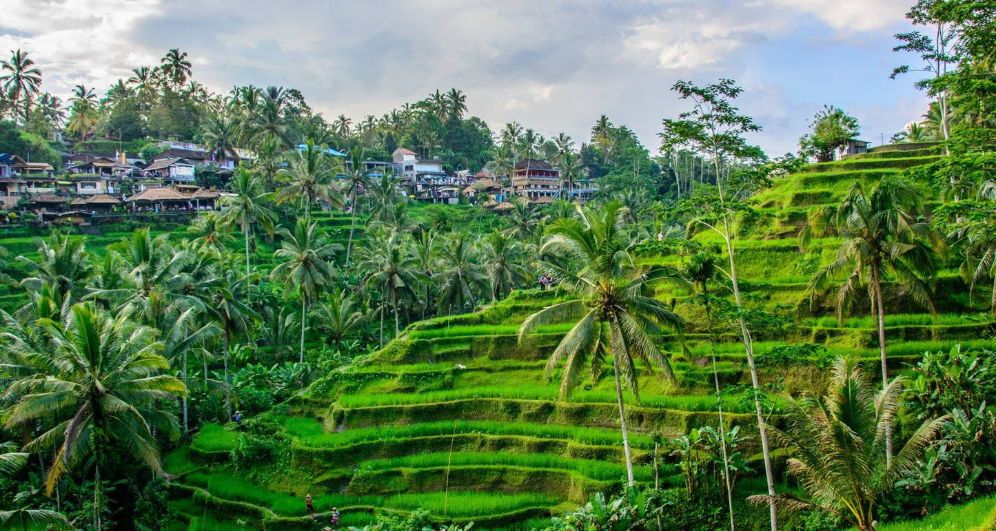 Java & Bali Explorer (from Jakarta to Gitgit)