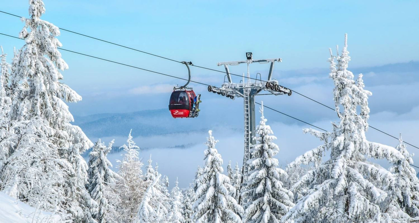 Cross-Country Skiing at Leutasch and Seefeld