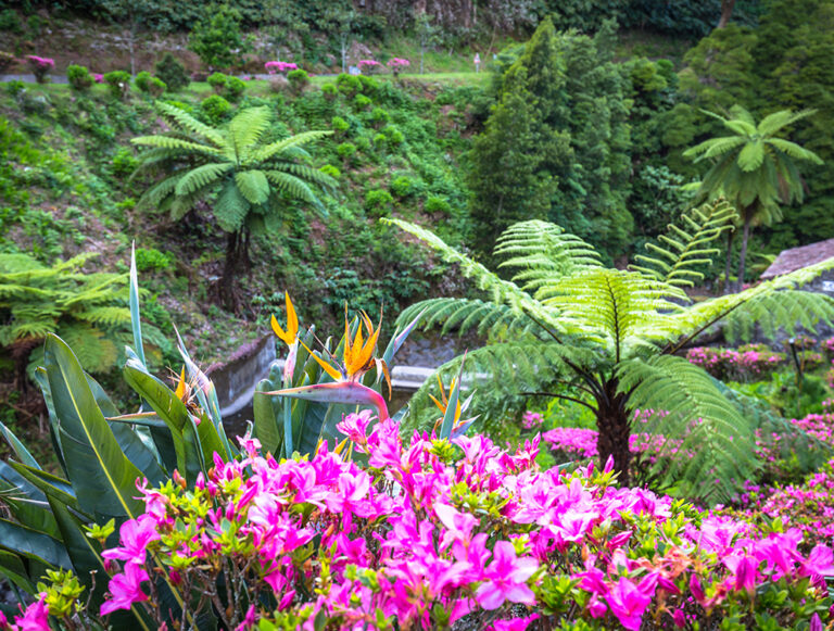 Azores: Family Adventure