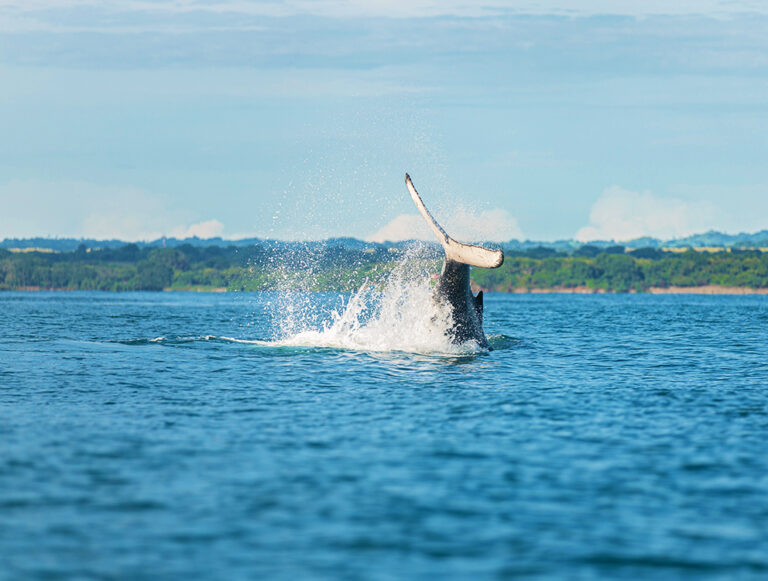 Panama: Family Adventure