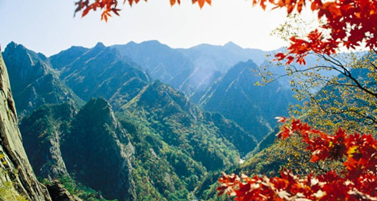 South Korea Circle Adventure 5D/4N
