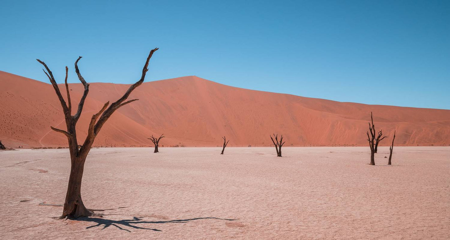 3-Day Sossusvlei Camping Adventure