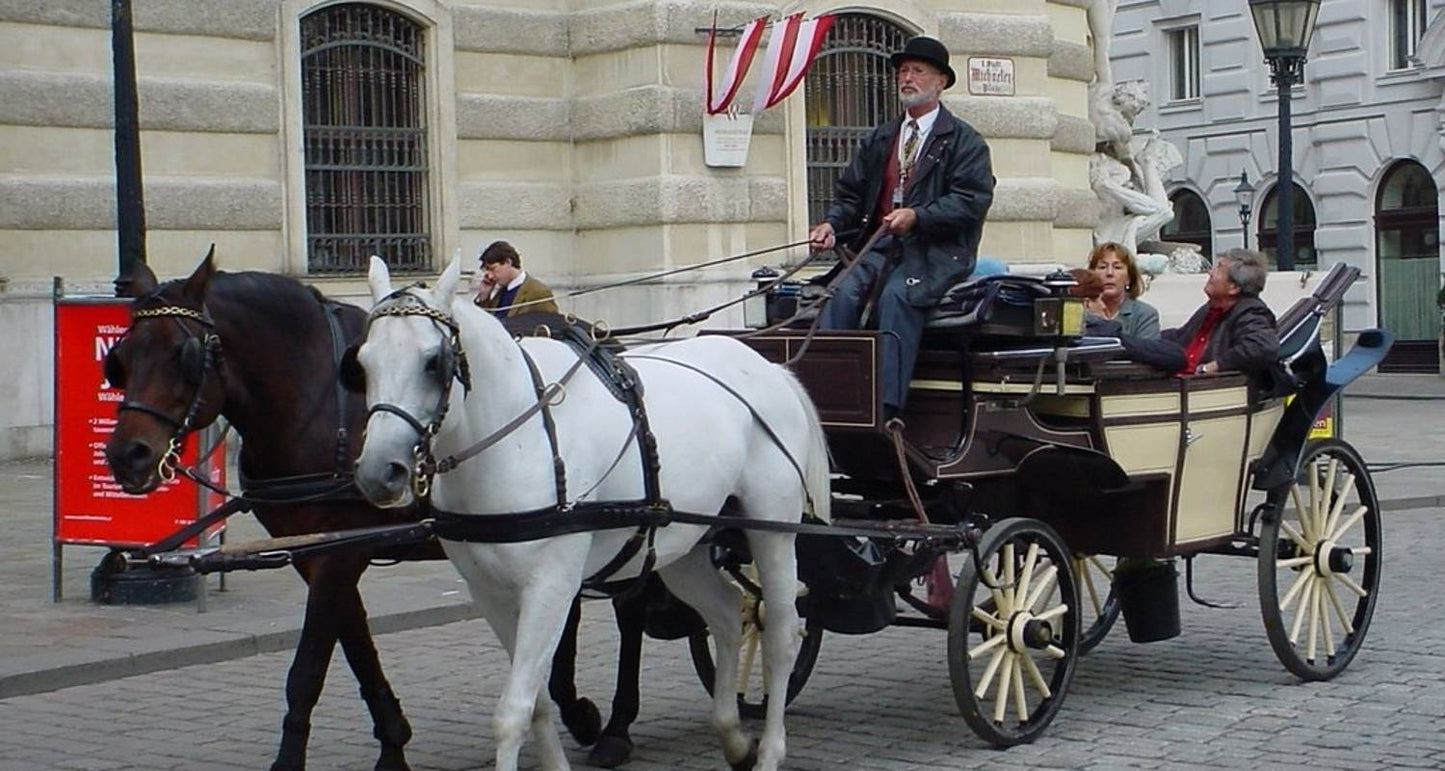 Austria's Best Family Trips
