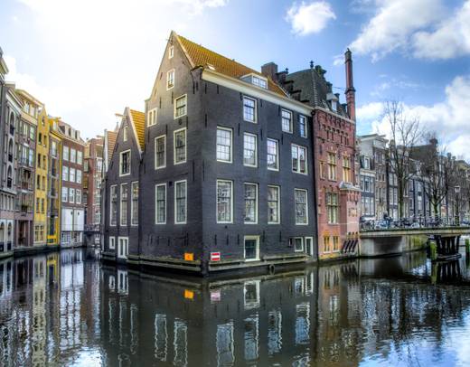 Holland & Belgium in Bloom