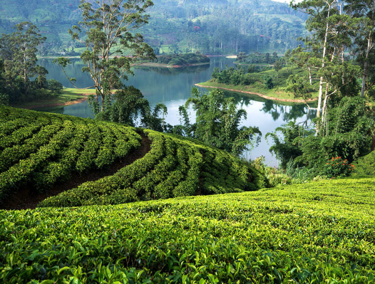 Sri Lanka: Sacred Landscapes