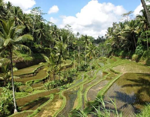 Bali Group Exploration 12D/11N