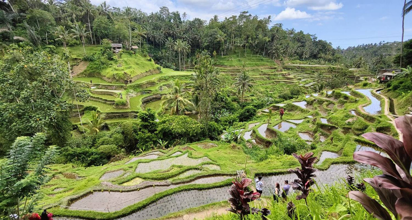Bespoke Bliss: City Chic & Bali Retreat