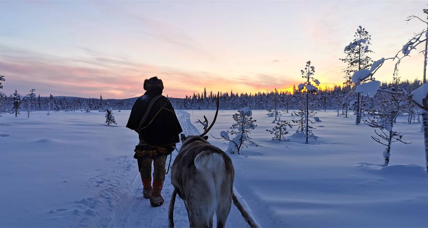 Arctic Circle Aurora Adventure