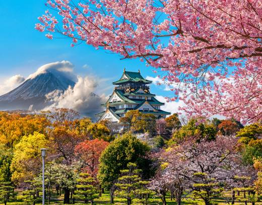 Best of Osaka, Kyoto and Hiroshima 6 Days