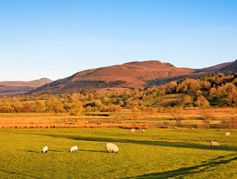 Ireland: Villages and Castles on the Edge