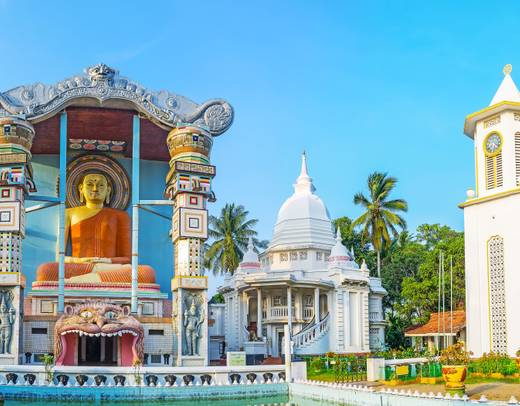 Discover Sri Lanka